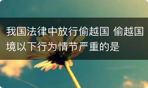 我国法律中放行偷越国 偷越国境以下行为情节严重的是