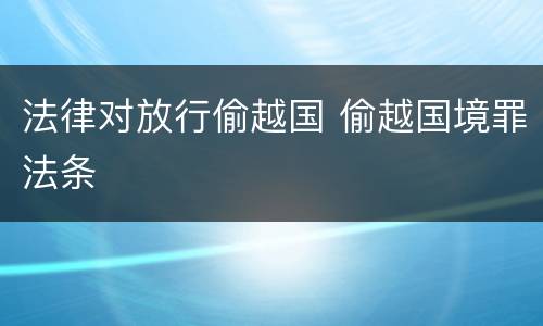 法律对放行偷越国 偷越国境罪法条