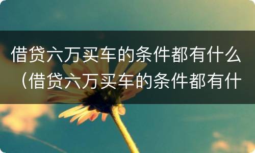 借贷六万买车的条件都有什么（借贷六万买车的条件都有什么呢）