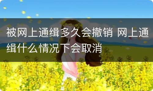 被网上通缉多久会撤销 网上通缉什么情况下会取消