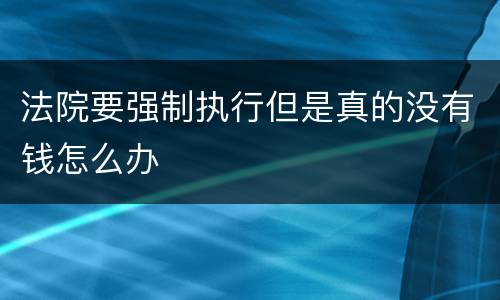 法院要强制执行但是真的没有钱怎么办
