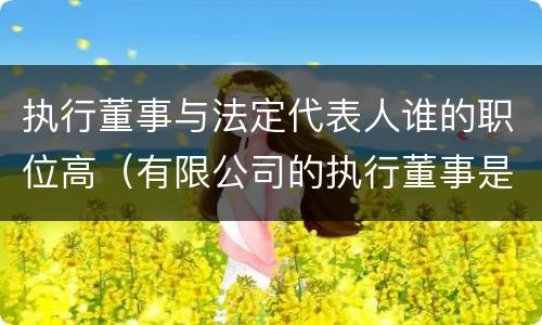 执行董事与法定代表人谁的职位高（有限公司的执行董事是由法定代表人担任吗）