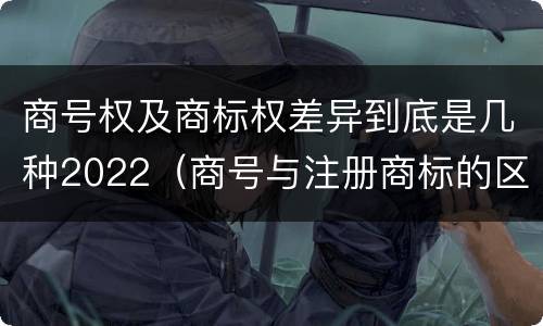 商号权及商标权差异到底是几种2022（商号与注册商标的区别）