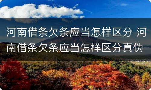 河南借条欠条应当怎样区分 河南借条欠条应当怎样区分真伪