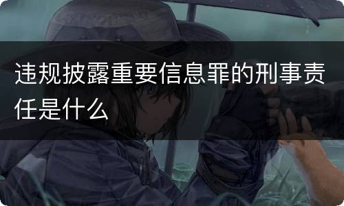 违规披露重要信息罪的刑事责任是什么