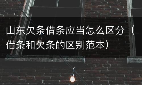 山东欠条借条应当怎么区分（借条和欠条的区别范本）