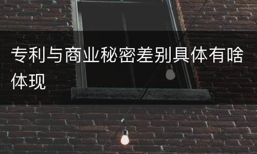 专利与商业秘密差别具体有啥体现