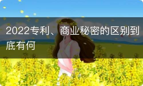2022专利、商业秘密的区别到底有何