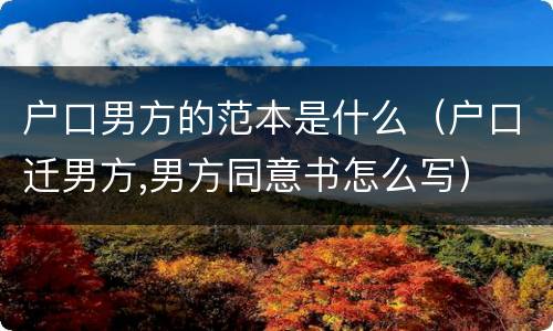 户口男方的范本是什么（户口迁男方,男方同意书怎么写）