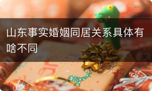 山东事实婚姻同居关系具体有啥不同