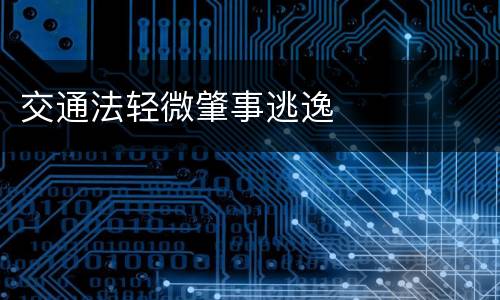 交通法轻微肇事逃逸