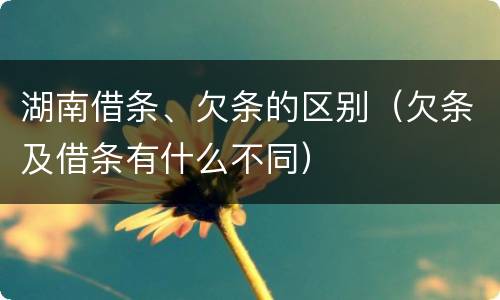 湖南借条、欠条的区别（欠条及借条有什么不同）