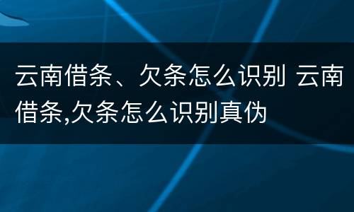 云南借条、欠条怎么识别 云南借条,欠条怎么识别真伪