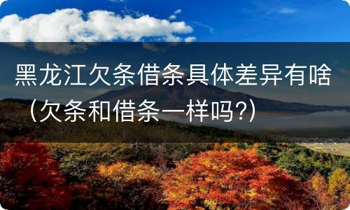 黑龙江欠条借条具体差异有啥（欠条和借条一样吗?）