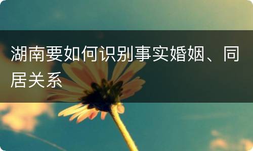 湖南要如何识别事实婚姻、同居关系