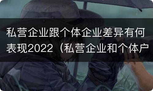 私营企业跟个体企业差异有何表现2022（私营企业和个体户一样吗）