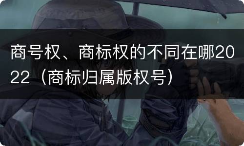 商号权、商标权的不同在哪2022（商标归属版权号）