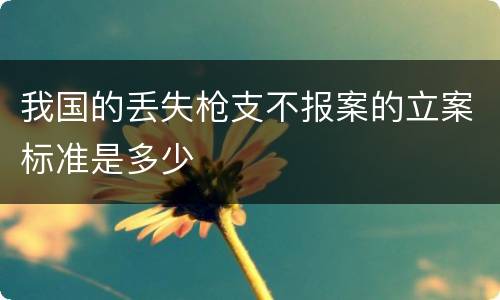 我国的丢失枪支不报案的立案标准是多少