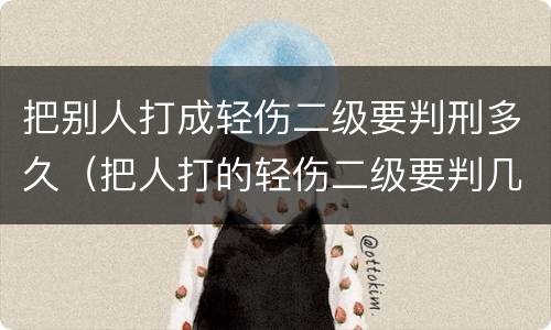 把别人打成轻伤二级要判刑多久（把人打的轻伤二级要判几年）