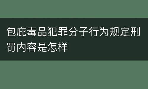 包庇毒品犯罪分子行为规定刑罚内容是怎样