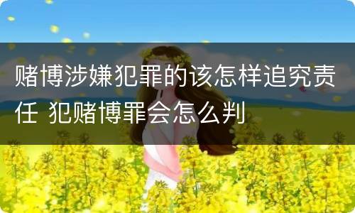 赌博涉嫌犯罪的该怎样追究责任 犯赌博罪会怎么判
