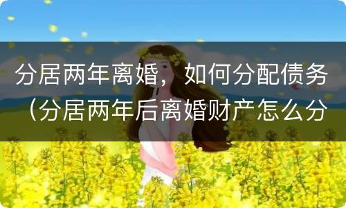 分居两年离婚，如何分配债务（分居两年后离婚财产怎么分）