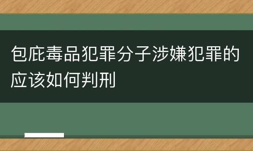 包庇毒品犯罪分子涉嫌犯罪的应该如何判刑