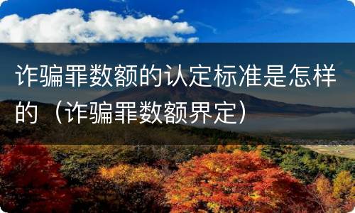 诈骗罪数额的认定标准是怎样的（诈骗罪数额界定）