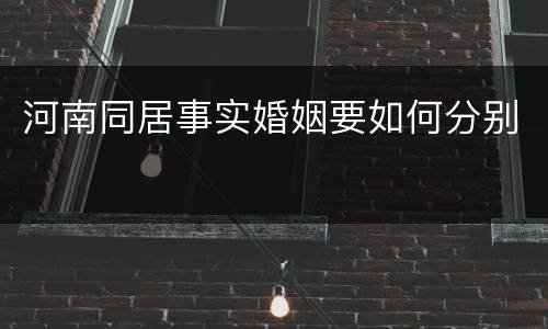 河南同居事实婚姻要如何分别