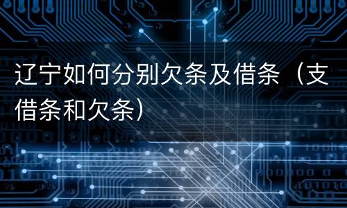 辽宁如何分别欠条及借条（支借条和欠条）