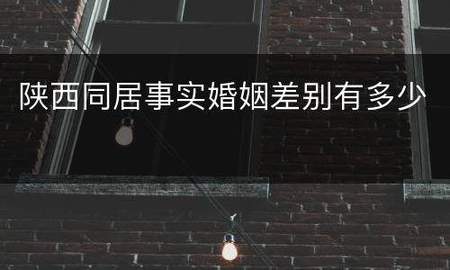 陕西同居事实婚姻差别有多少
