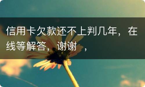 信用卡欠款还不上判几年，在线等解答，谢谢  ，