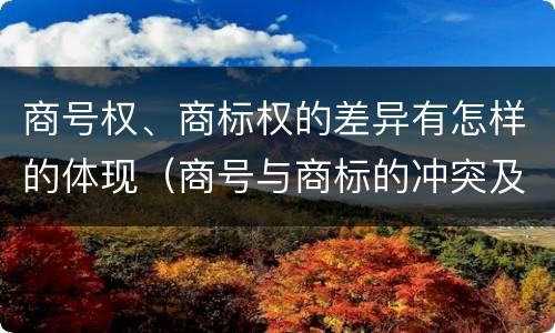 商号权、商标权的差异有怎样的体现（商号与商标的冲突及解决措施）