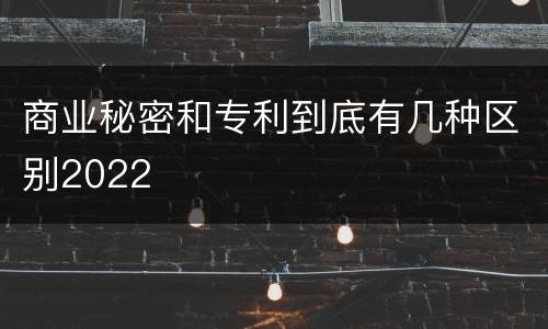 商业秘密和专利到底有几种区别2022
