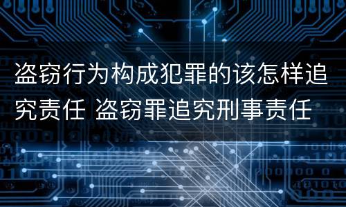 盗窃行为构成犯罪的该怎样追究责任 盗窃罪追究刑事责任