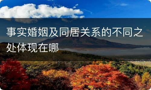 事实婚姻及同居关系的不同之处体现在哪