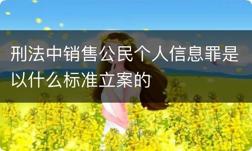 刑法中销售公民个人信息罪是以什么标准立案的