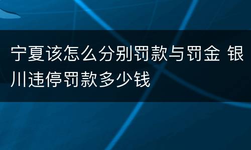 宁夏该怎么分别罚款与罚金 银川违停罚款多少钱