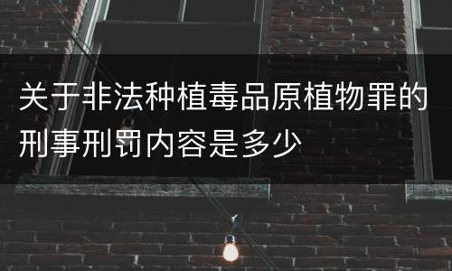 关于非法种植毒品原植物罪的刑事刑罚内容是多少