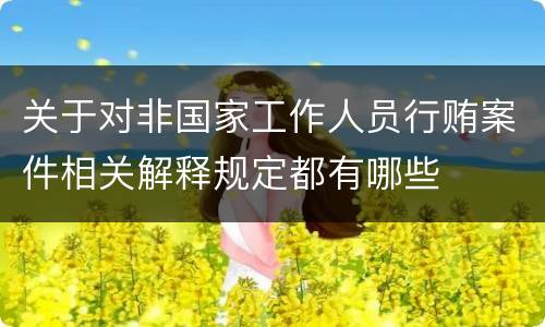 关于对非国家工作人员行贿案件相关解释规定都有哪些