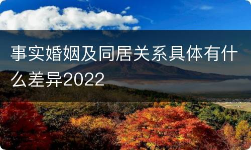 事实婚姻及同居关系具体有什么差异2022