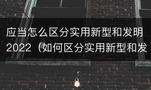 应当怎么区分实用新型和发明2022（如何区分实用新型和发明专利）