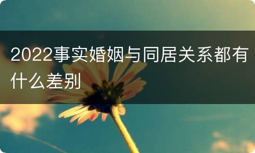2022事实婚姻与同居关系都有什么差别