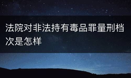 法院对非法持有毒品罪量刑档次是怎样