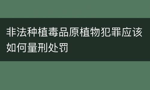 非法种植毒品原植物犯罪应该如何量刑处罚