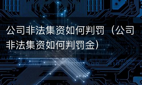 公司非法集资如何判罚（公司非法集资如何判罚金）