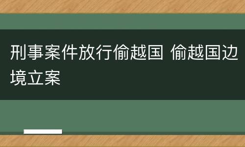 刑事案件放行偷越国 偷越国边境立案