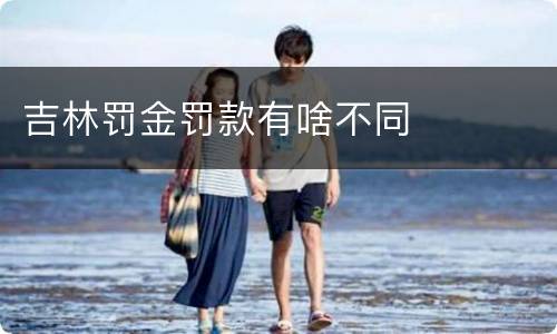 吉林罚金罚款有啥不同