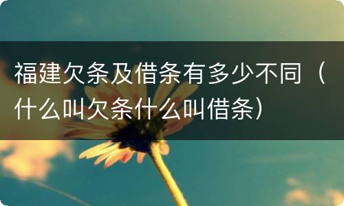 福建欠条及借条有多少不同（什么叫欠条什么叫借条）