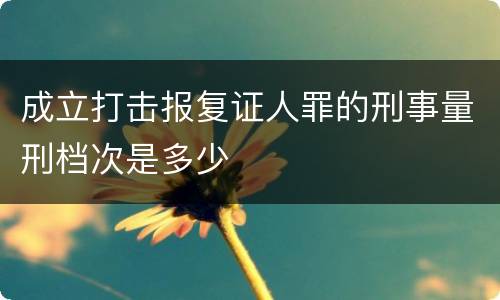 成立打击报复证人罪的刑事量刑档次是多少